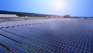 中美硅晶与熊猫体育「中国」光电携手战略合作